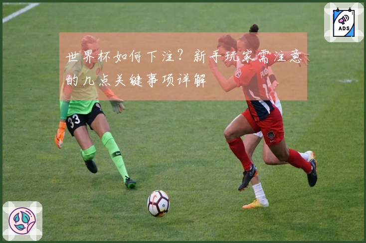 世界杯如何下注？新手玩家需注意的几点关键事项详解