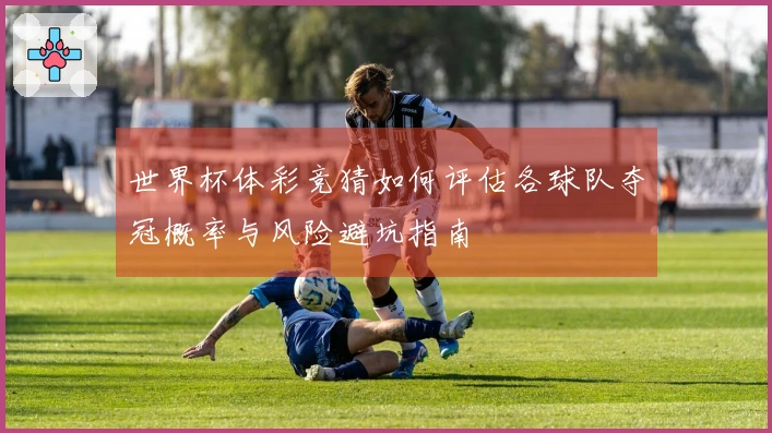 世界杯体彩竞猜如何评估各球队夺冠概率与风险避坑指南