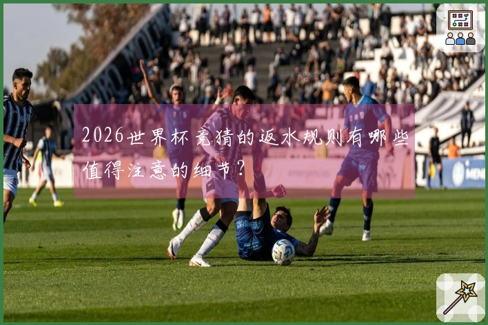 2026世界杯竞猜的返水规则有哪些值得注意的细节？