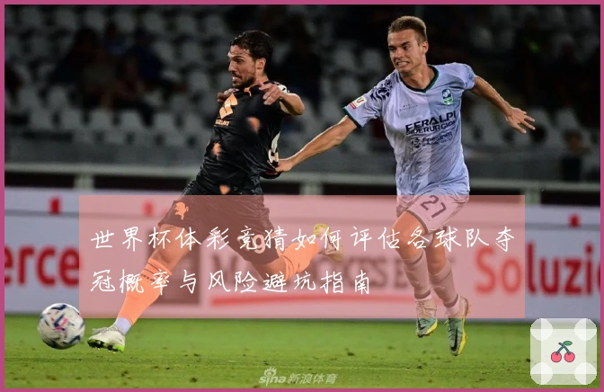 世界杯体彩竞猜如何评估各球队夺冠概率与风险避坑指南