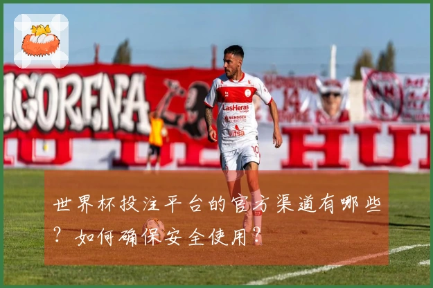 世界杯投注平台的官方渠道有哪些？如何确保安全使用？