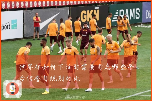 世界杯如何下注时需要考虑哪些平台信誉与规则对比