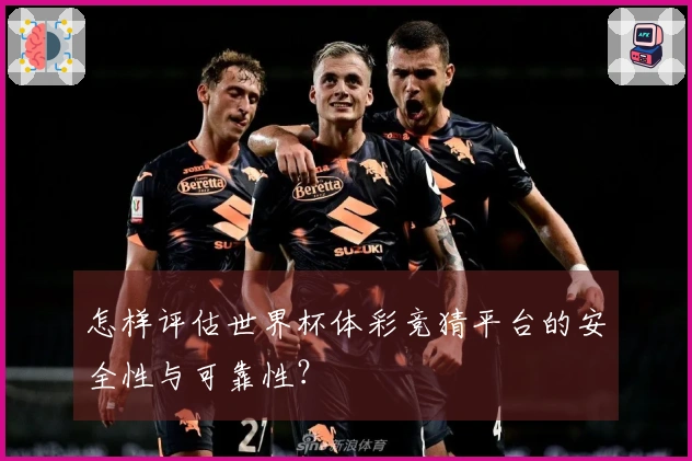 怎样评估世界杯体彩竞猜平台的安全性与可靠性？