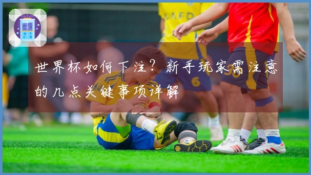 世界杯如何下注？新手玩家需注意的几点关键事项详解